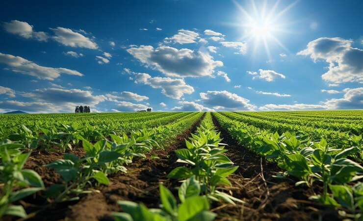 Community Farming