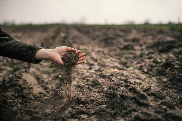 Bio-Organic Manure & Agri-Inputs Production